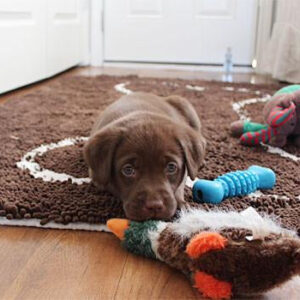 XL absorbent mat with bone